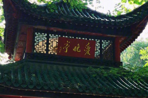 <b>ɳʮͻʤ</b>